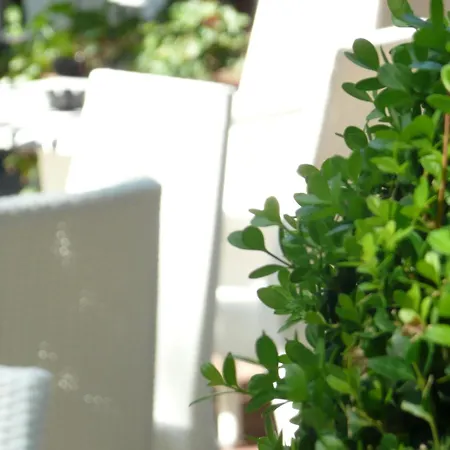 Flora Milano Marittima
