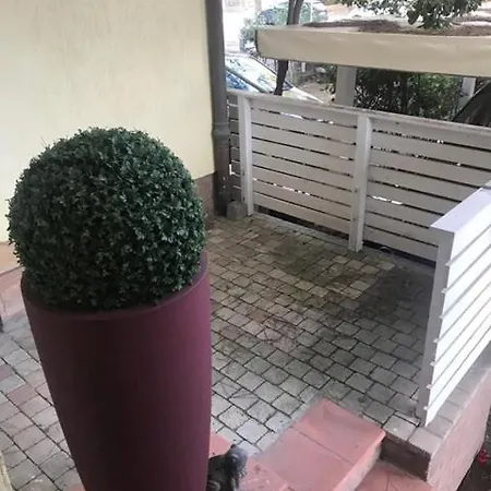 Flora 호텔